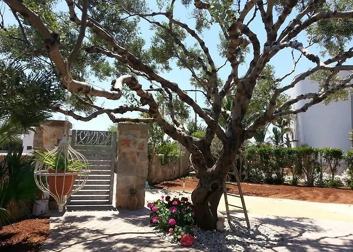 Corallo ベッド・アンド・ブレックファスト