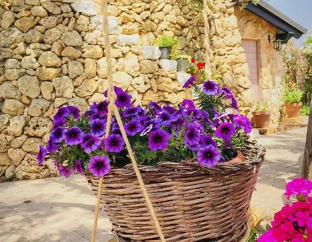 Corallo ベッド・アンド・ブレックファスト