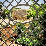 Corallo Bed and Breakfast 3*