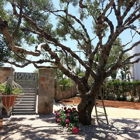 Corallo Bed & Breakfast