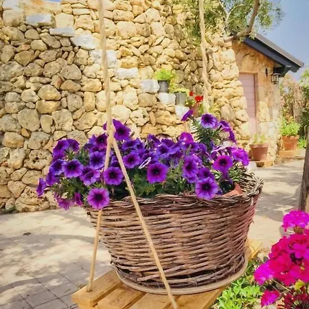 Corallo Bed & Breakfast 4*