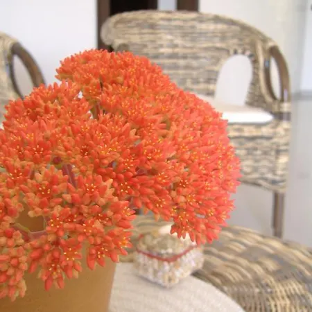 Bed & Breakfast Corallo Capilungo