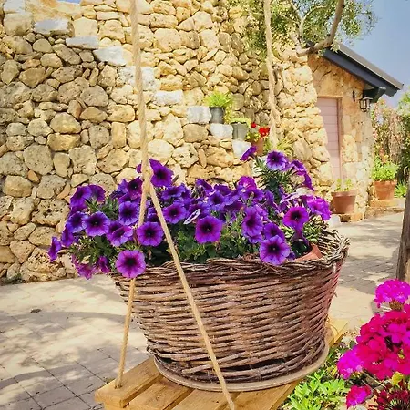 Corallo Bed & Breakfast